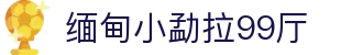 缅甸小勐拉99厅|官方网站